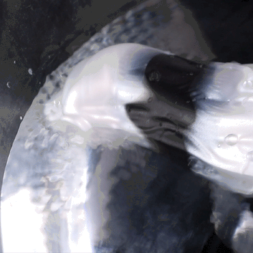 🐦🔥 Alien Dragon Fantasy Vibrating Wearable Penis Sleeve