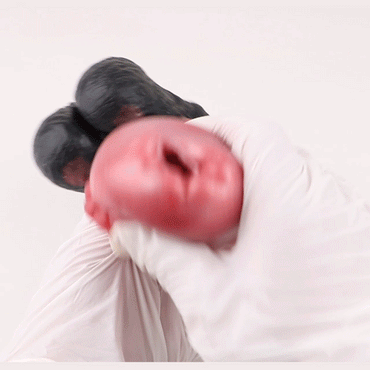 🐎 BeastGasm Horse Penis Sheath – Single-Channel Fantasy Sleeve - BeastGasm