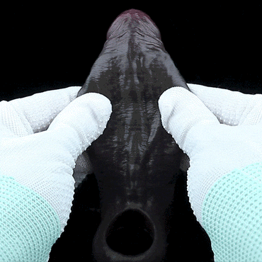 Open-End Penis Sleeve 🖤 Shadow Pulse – Sensory Control Silicone