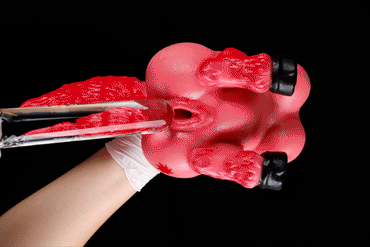 🐴 Crimson Stallion Wildtail Fantasy Horse Half-Body Stroker