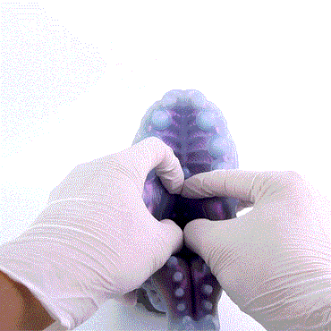 🦠 Void Predator Alien Fantasy Masturbator – Platinum Silicone