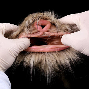 Dual - Hole Furry Animal Masturbator – The Shaggy Chimera - BeastGasm