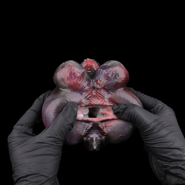 👽 Void Swarm Alien Fantasy Masturbator & Dildo