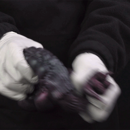 🐛 Deep Cave Worm – Single-Channel Alien Creature Pocket Pussy