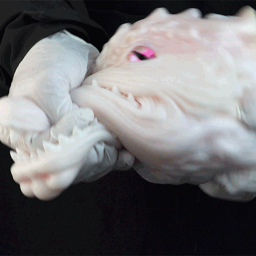 White Dragon Pocket Pussy – Fantasy Oral Silicone Toy 🐉 - BeastGasm