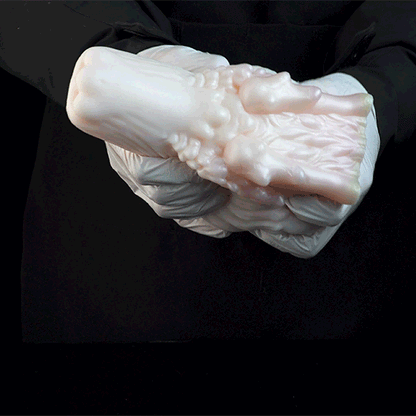 White Dragon Pocket Pussy – Fantasy Oral Silicone Toy 🐉 - BeastGasm