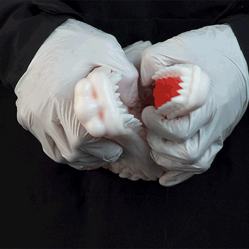 White Dragon Pocket Pussy – Fantasy Oral Silicone Toy 🐉 - BeastGasm