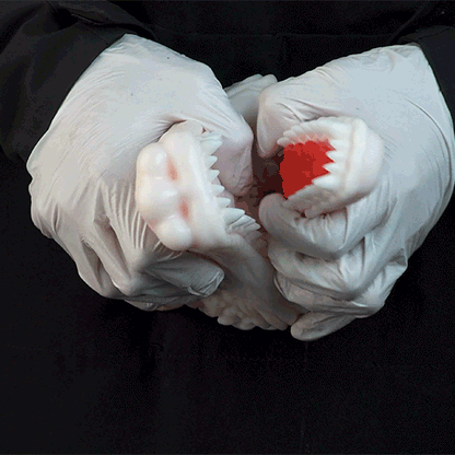 White Dragon Pocket Pussy – Fantasy Oral Silicone Toy 🐉 - BeastGasm