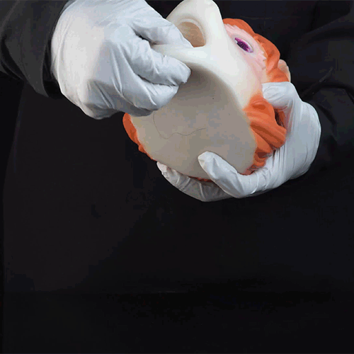 Deer Pony Pocket Pussy – Fantasy Oral Silicone Toy 🦌