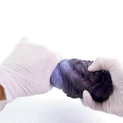 🦑 Alien Abyss Pocket Pussy – Iridescent Fantasy Silicone Stroker