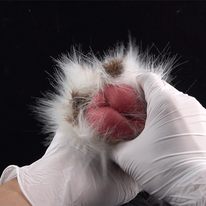 🐶 Dalmatian Fur Pocket Pussy | Removable Plush Male Masturbator