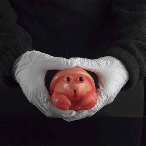 🦀 Fantasy Hermit Crab Pocket Pussy – Discreet Silicone Stroker - BeastGasm