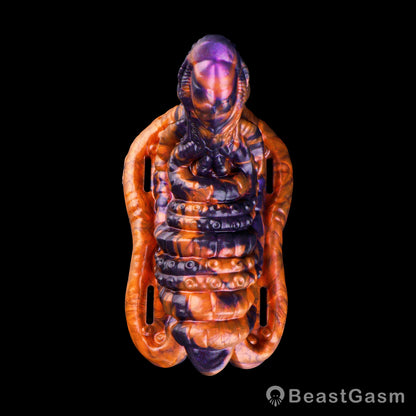 🐙 Wearable Grinding Sex Toy & Remote Vibrator