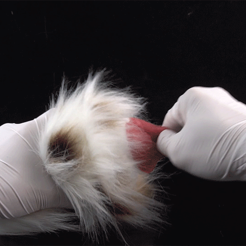 🐶 Dalmatian Fur Pocket Pussy | Removable Plush Male Masturbator