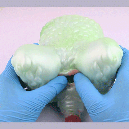 🫎 Deer Fantasy Pocket Pussy – Wild, Soft & Textured Bliss