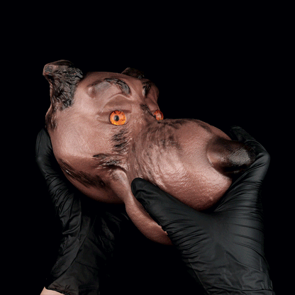 🐶 Loyal Dog Milo: Concealed Fantasy Animal Stroker