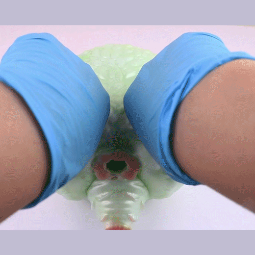 🫎 Deer Fantasy Pocket Pussy – Wild, Soft & Textured Bliss