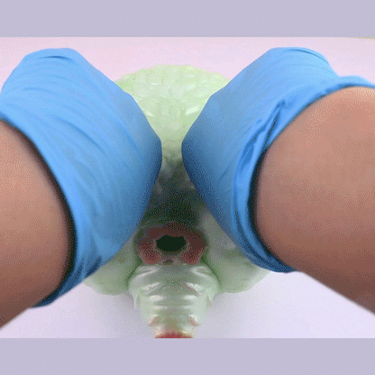 🫎 Deer Fantasy Pocket Pussy – Wild, Soft & Textured Bliss