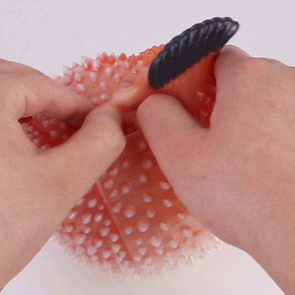 Pearl Puffer Pocket Pussy – Adorable Dual-Channel Male Toy