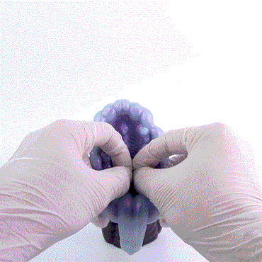 👾 Creature Maw Pocket Pussy – Fanged Beast Fantasy Silicone Stroker
