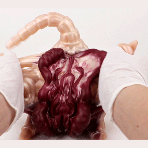 Facehugger Masturbator That Grips & Strokes BeastGasm Facehugger Masturbator That Grips & Strokes BeastGasm