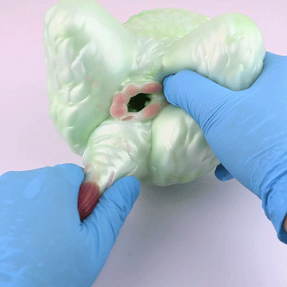 🫎 Deer Fantasy Pocket Pussy – Wild, Soft & Textured Bliss