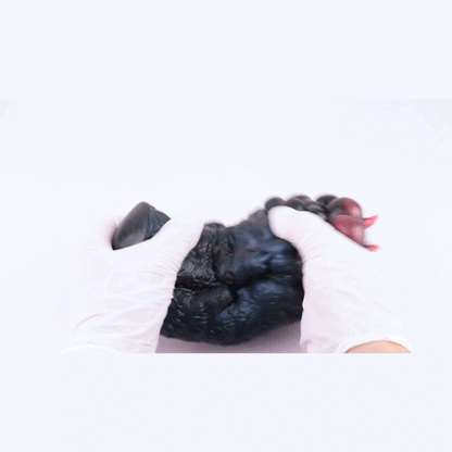 Wolf Claw Animal Pocket Pussy 🐺 Fantasy Grip Masturbator