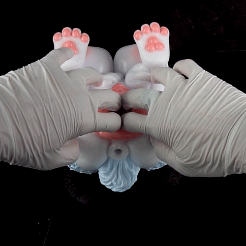 🦊 Furry Fox Sex Toy – Dual-Channel Platinum Silicone Beast
