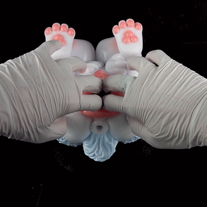 🦊 Furry Fox Sex Toy – Dual-Channel Platinum Silicone Beast