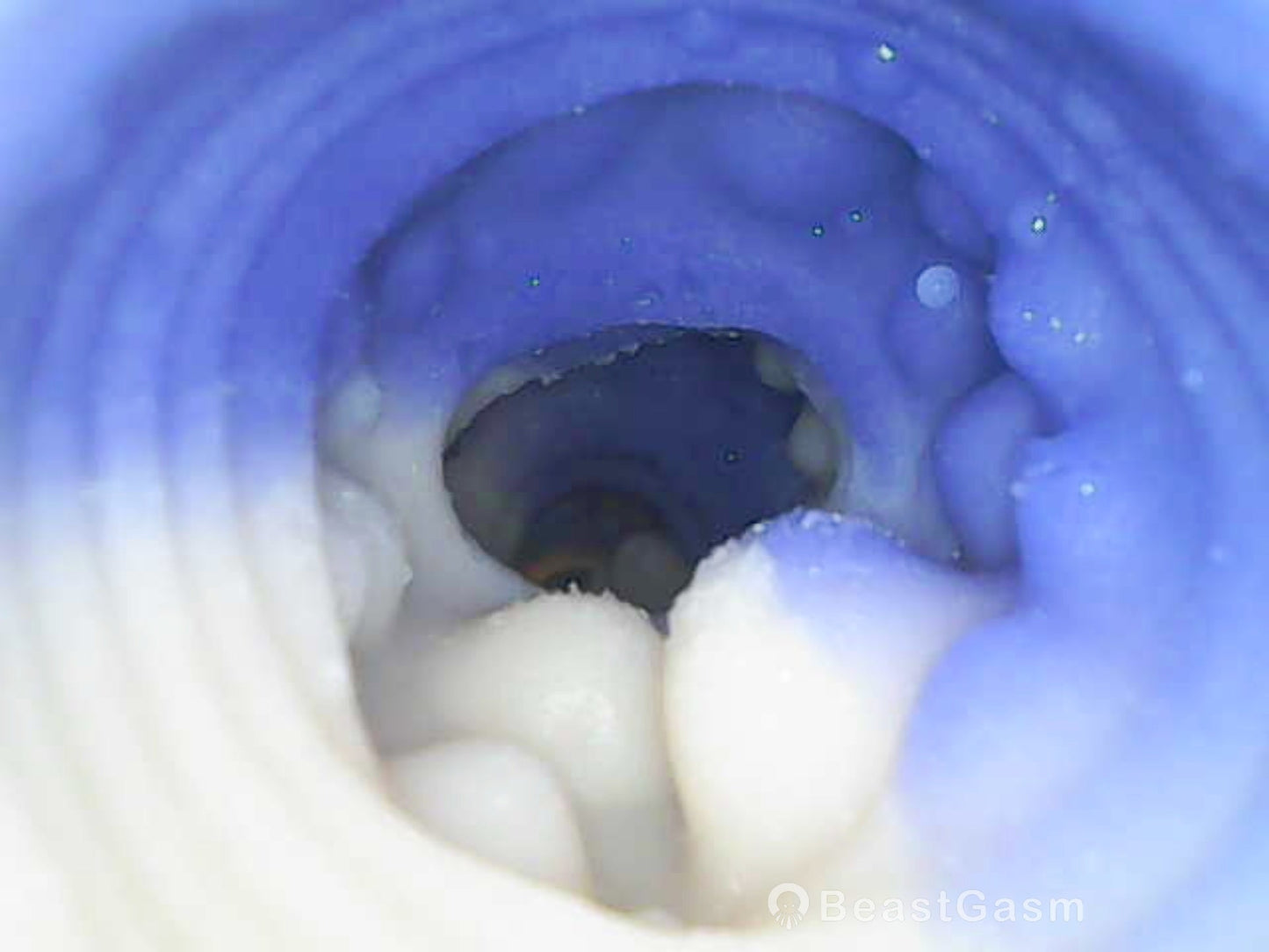 Abyssion Prime Dragon Vacuum Silicone Masturbator – Deep Suction Control 🐉 - BeastGasm