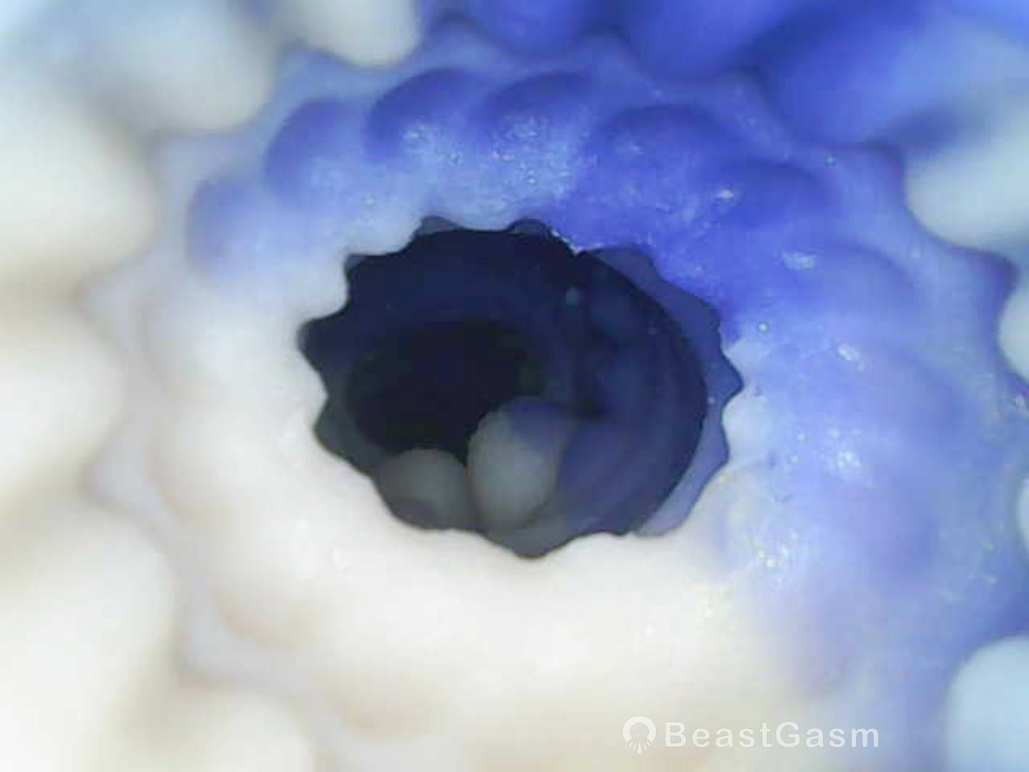 Abyssion Prime Dragon Vacuum Silicone Masturbator – Deep Suction Control 🐉 - BeastGasm