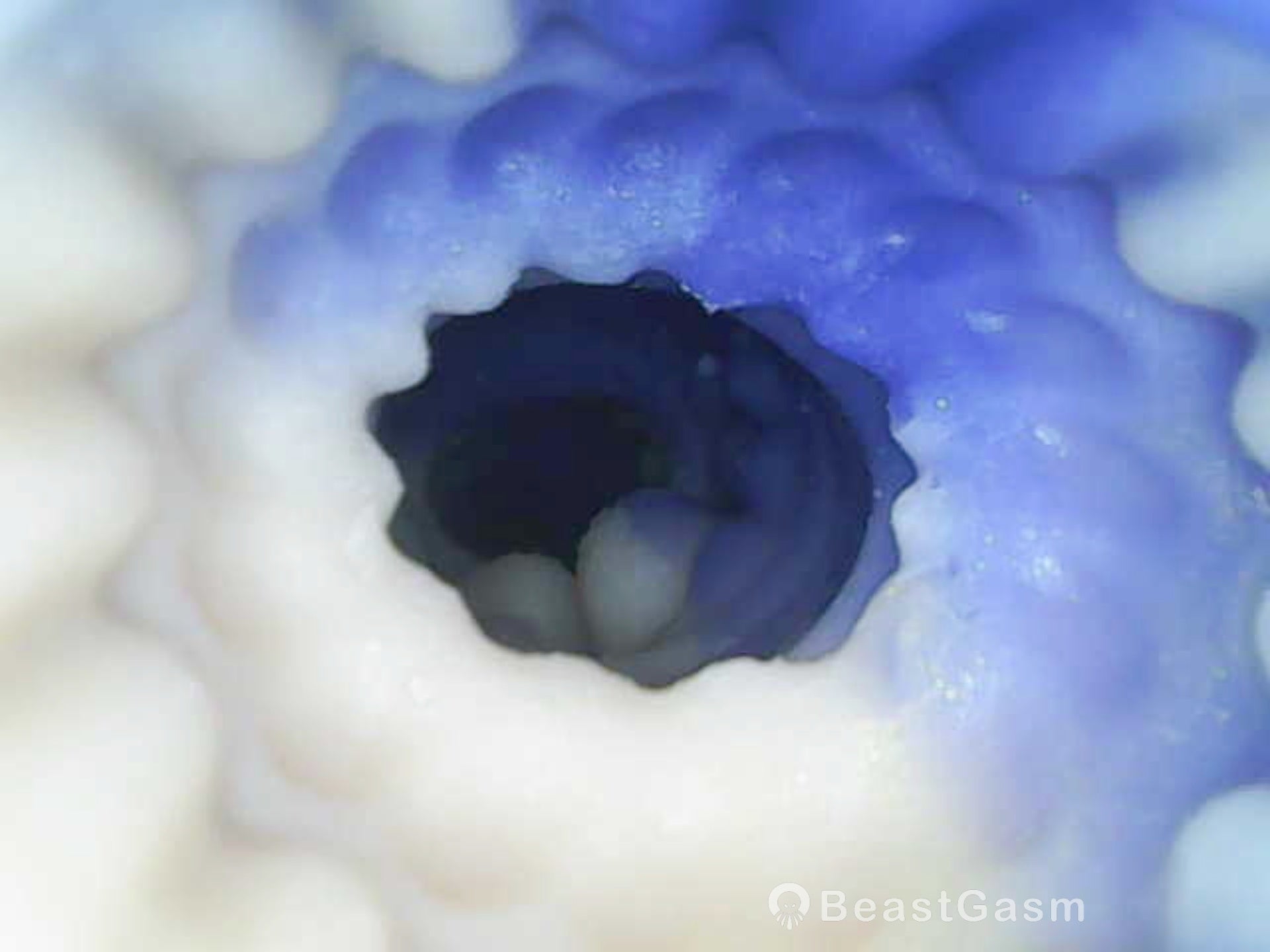 Abyssion Prime Dragon Vacuum Silicone Masturbator – Deep Suction Control 🐉 - BeastGasm