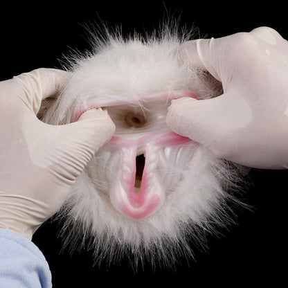 Arctic Beast - Plush Furry Male Stroker with Two Pleasing Openings - BeastGasm