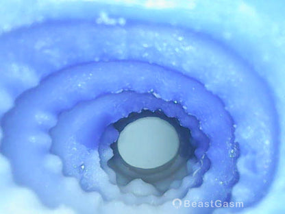 Azure Dolphin Vacuum Masturbator – 2 - in - 1 Blow Job Simulator 🐬 - BeastGasm