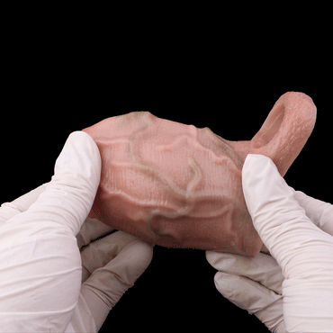 Titan Grip Penis Sleeve 🐉 Soft Silicone, Big Girth Thrills