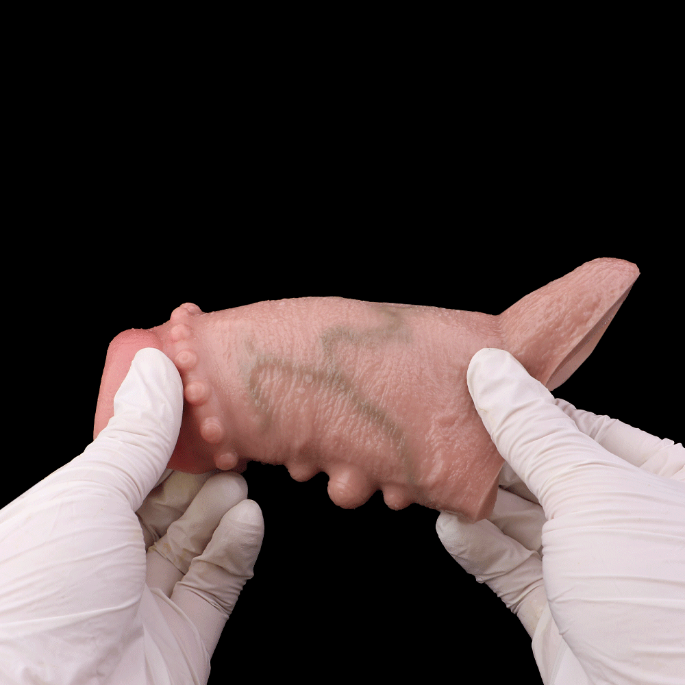 Titan Grip Spiked Penis Sleeve 🗡️ Ultimate Girth & Pleasure