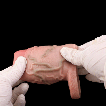 Titan Grip Penis Sleeve 🌑 Thick, Realistic, Thrilling Sensation