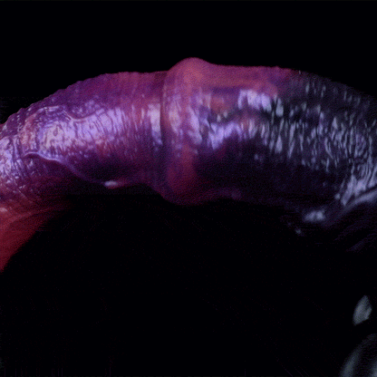 🐎 Cosmic Stallion Alien Horse Dildo Suction Cup