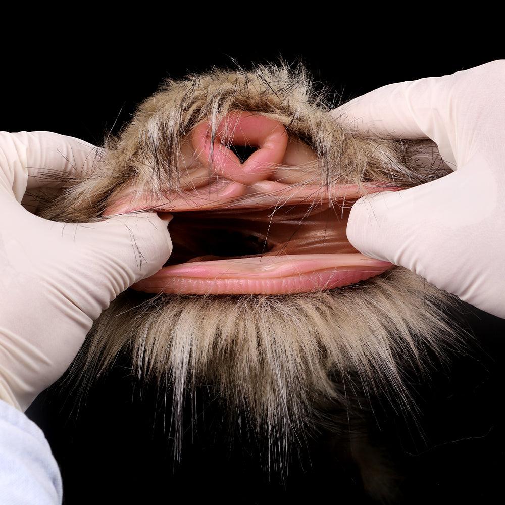 Dual - Hole Furry Animal Masturbator – The Shaggy Chimera - BeastGasm