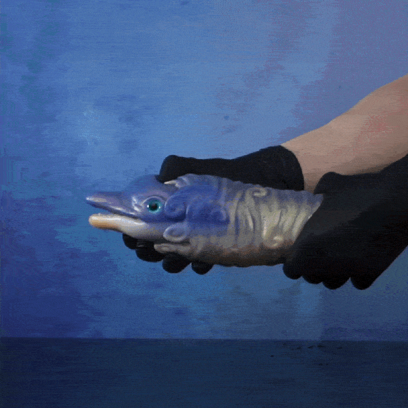 Azure Dolphin Vacuum Masturbator – 2-in-1 Blow Job Simulator 🐬