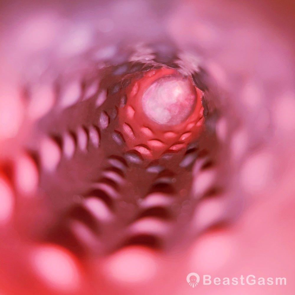 Herman Blood - Red Penis Extender – Scaled & Vibrating - BeastGasm