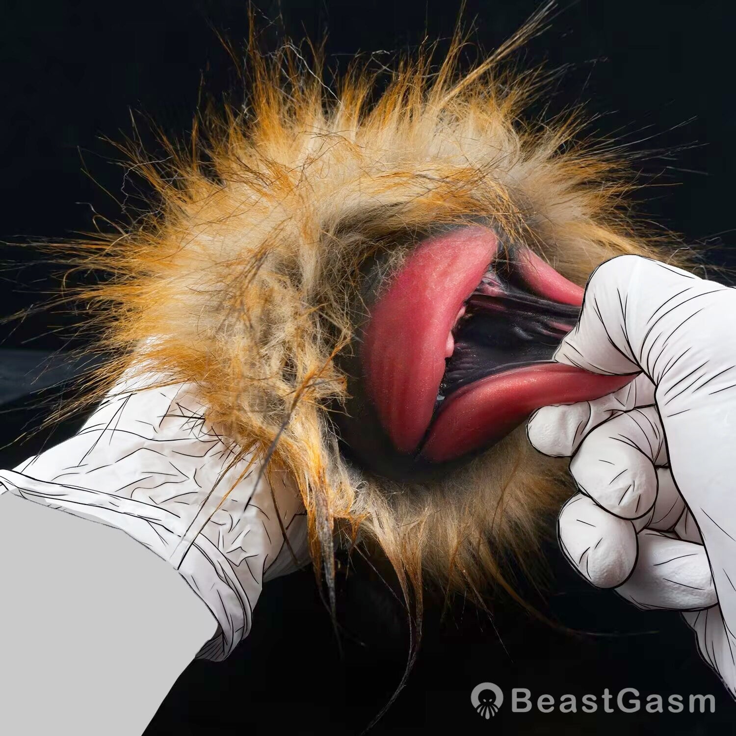 🦁 Lioness Fury Pocket Pussy | Removable Fur Male Masturbator - BeastGasm