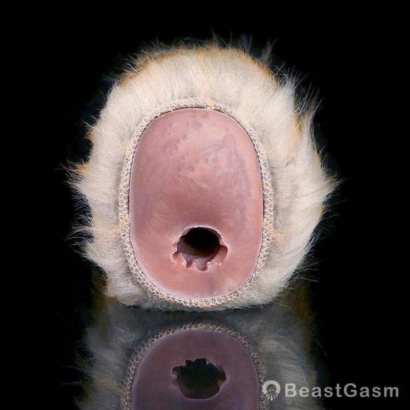 🐺 Lycanthrope’s Embrace - Premium Furry Dual - Hole Masturbator - BeastGasm