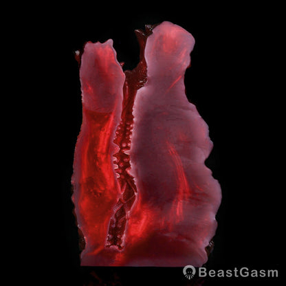 Pyrothrax Dragon Head Silicone Masturbator – Dark Fantasy 🐉🔥 - BeastGasm