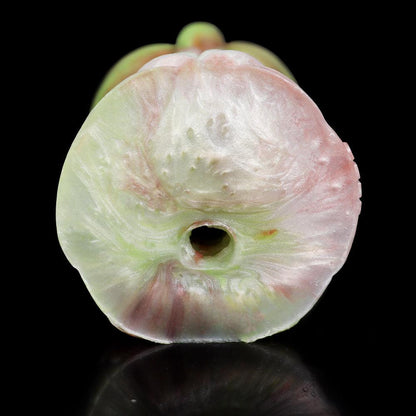 Sylthraex Royal Cerberus Dog Masturbator - BeastGasm