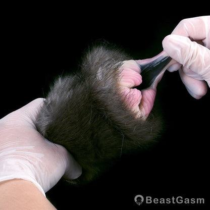 Whispering Prowler Penetrable - BeastGasm